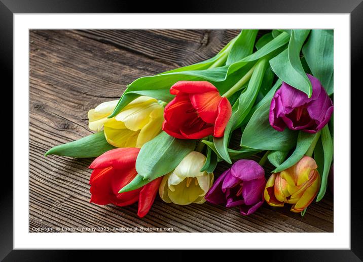 Colorful tulips on wooden table Framed Mounted Print by Lubos Chlubny