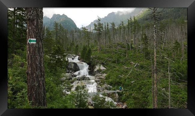 Scenic view of waterfall in forest, High Tatras, Slovakia Framed Print by Irena Chlubna