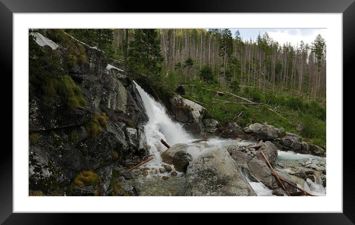 Scenic view of waterfall in forest Framed Mounted Print by Irena Chlubna