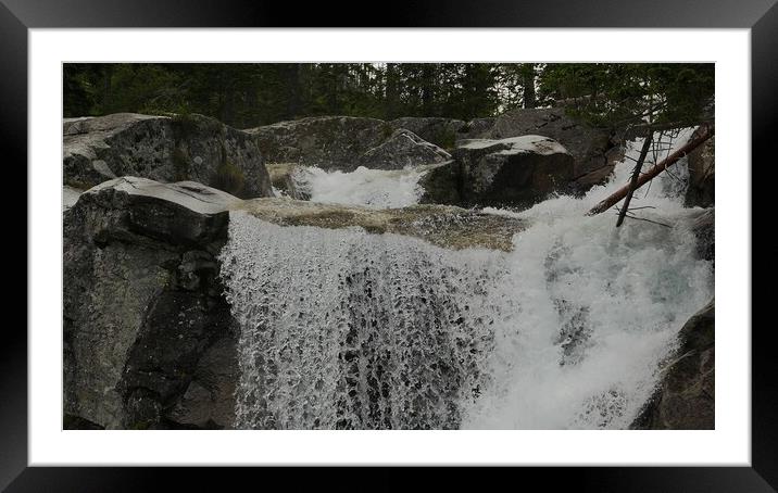 Scenic view of waterfall in forest Framed Mounted Print by Irena Chlubna