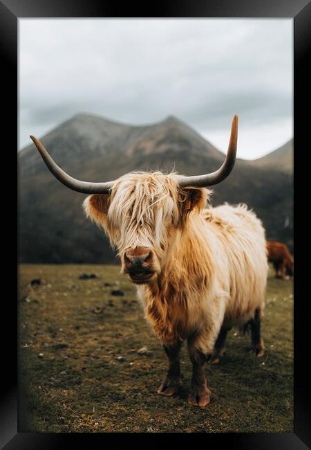 Highland Cow on the Isle of Skye Framed Print by Jay Huxtable