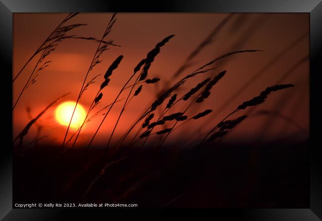 Sunset fields Framed Print by Kelly Rix