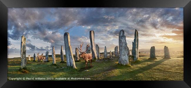 The Picturesque Amazing Callanish Stones Isle of Lewis Sunrise Framed Print by Paul E Williams