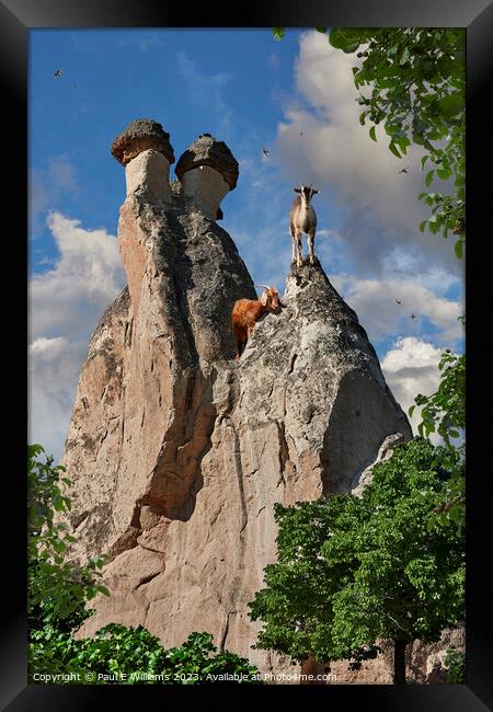 View of Goats on a Spectacular  Fairy Chimney Rock Formations in Framed Print by Paul E Williams
