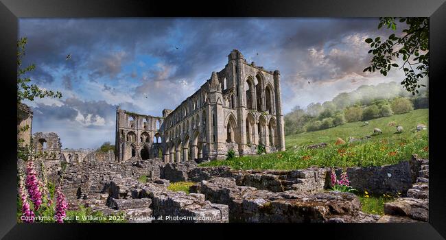 The picturesque medieval Rievaulx Abbey ruins, England.  Framed Print by Paul E Williams