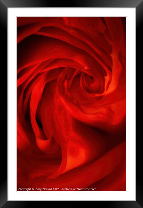 Peony in Abstract Framed Mounted Print by Gary Blackall