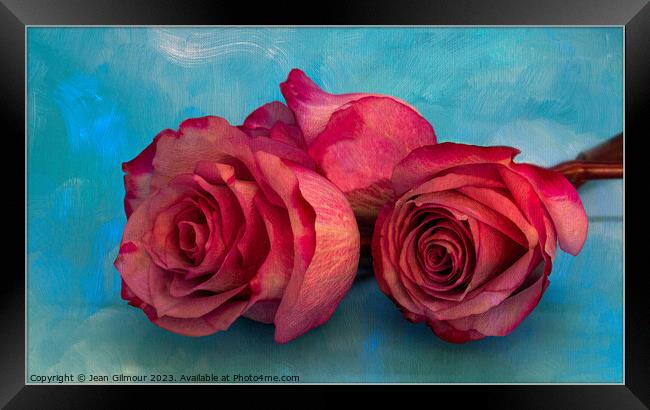 Three Pink Roses on Textured Background. Framed Print by Jean Gilmour