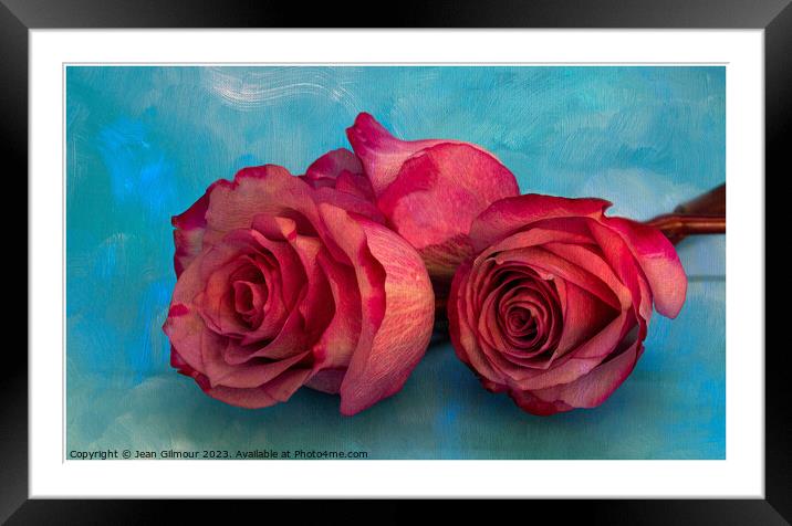 Three Pink Roses on Textured Background. Framed Mounted Print by Jean Gilmour