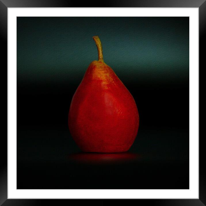 Portrait of a Pear Framed Mounted Print by Jean Gilmour