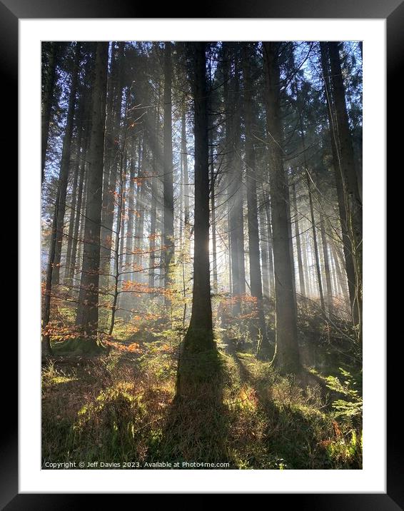 Dawn's Embrace in Llanwonno Forest Framed Mounted Print by Jeff Davies