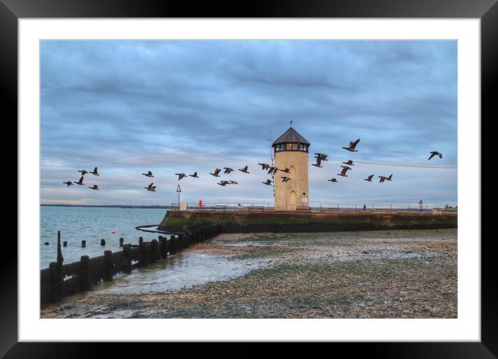 Fly past across Batemans tower Brightlingsea  Framed Mounted Print by Tony lopez