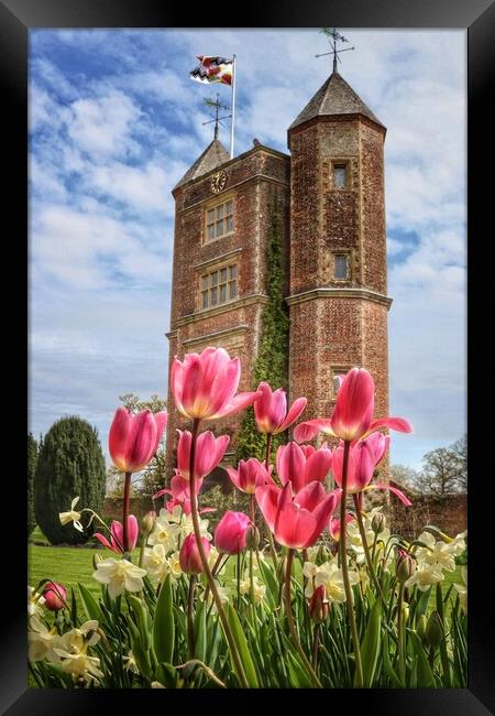 Sissinghurst castle tulips on a sunny day  Framed Print by Tony lopez
