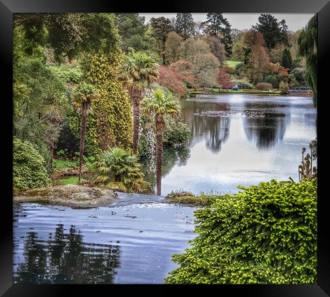 Scenic Views across the lake at Sheffield Park sussex  Framed Print by Tony lopez