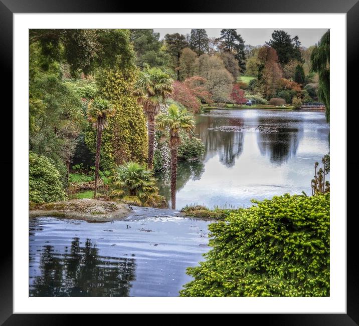 Scenic Views across the lake at Sheffield Park sussex  Framed Mounted Print by Tony lopez