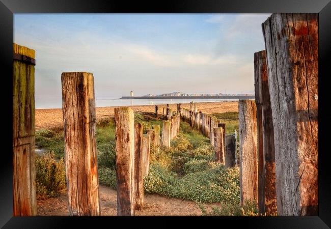 Morning Views over Brightlingsea beach  Framed Print by Tony lopez