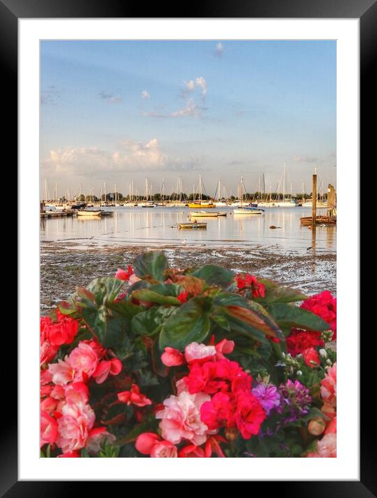 Views across the Brightlingsea Harbour  Framed Mounted Print by Tony lopez