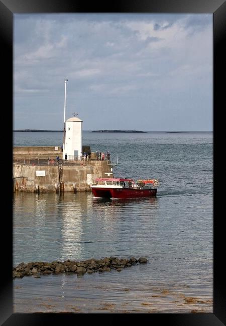 Home at the end oh the day to Seahouses Harbour  Framed Print by Tony lopez