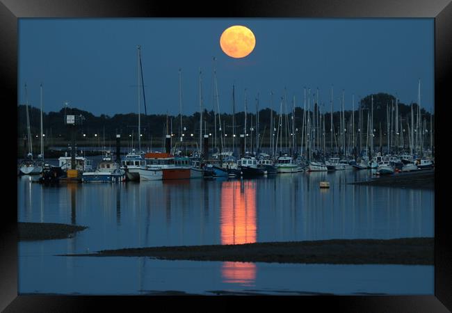 August Blue moon rising over the Brightlingsea moorings  Framed Print by Tony lopez