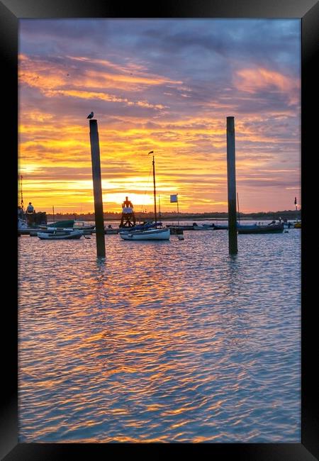 Brightlingsea sunrise colours over the harbour  Framed Print by Tony lopez