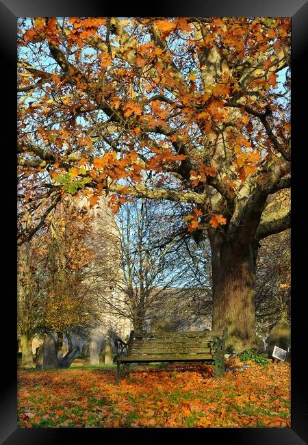 Autumnal colours whilst enjoying the view Framed Print by Tony lopez