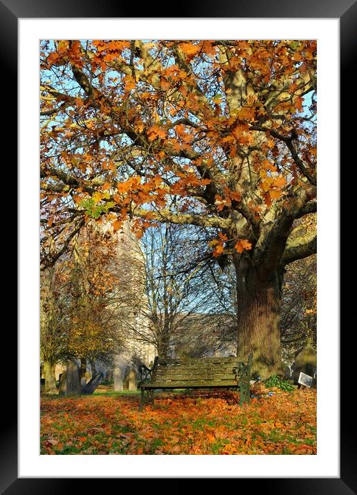 Autumnal colours whilst enjoying the view Framed Mounted Print by Tony lopez
