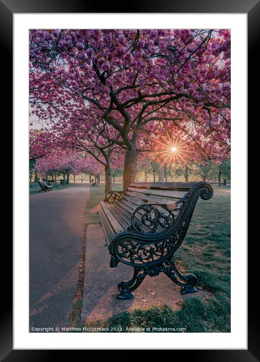 Park Life Framed Mounted Print by Matthew McCormack
