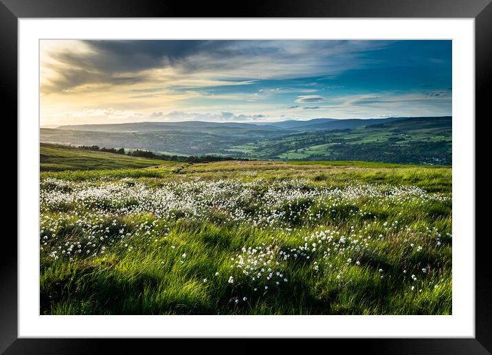 Moor Cotton on Ilkley Moor Framed Mounted Print by James Elkington