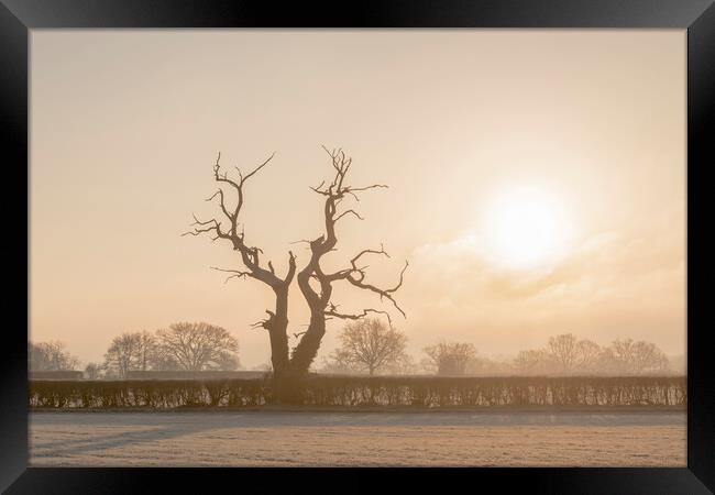 Frosty morning in Wiltshire Framed Print by Kevin Howchin