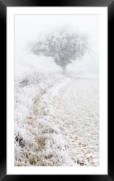 Fog and Frost Framed Mounted Print by Kevin Howchin