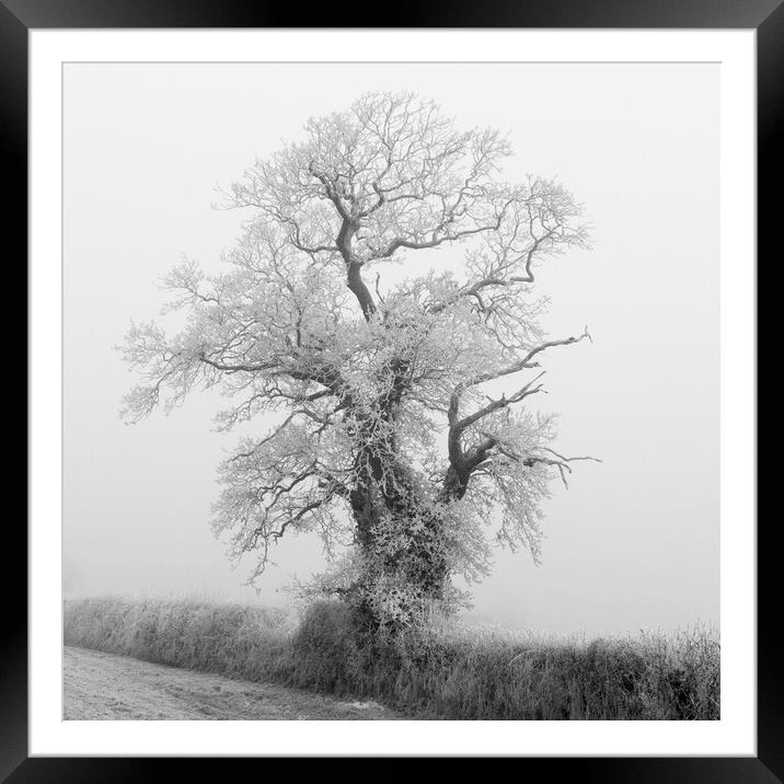 Fog and Frost Framed Mounted Print by Kevin Howchin
