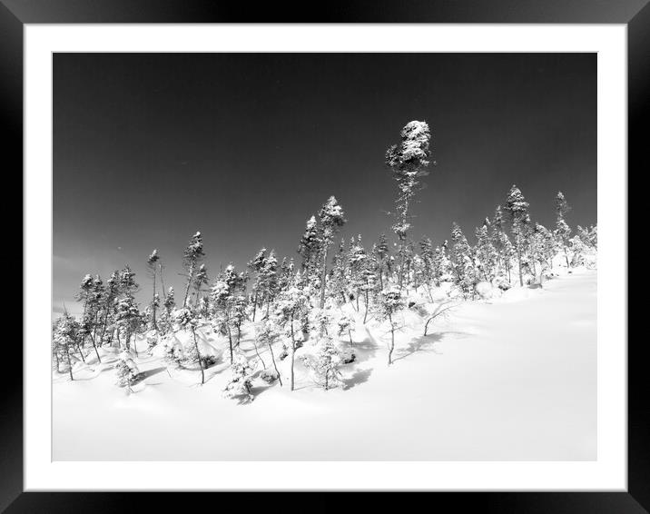 Winter Wonderland  Framed Mounted Print by Kevin Howchin