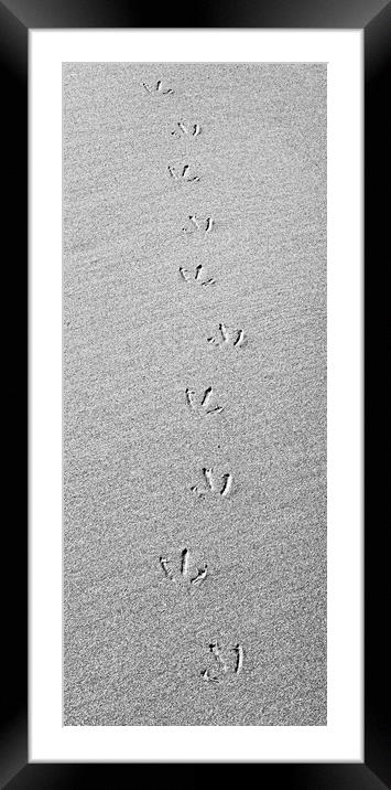 Footprints in the Sand Framed Mounted Print by Kevin Howchin