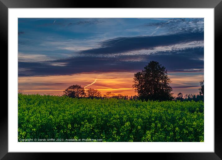 Sunset on field of gold Framed Mounted Print by Derek Griffin