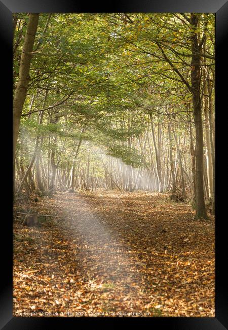 Autumn Woods Framed Print by Derek Griffin