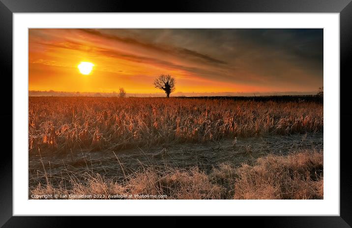 Golden Hour Framed Mounted Print by Ian Donaldson