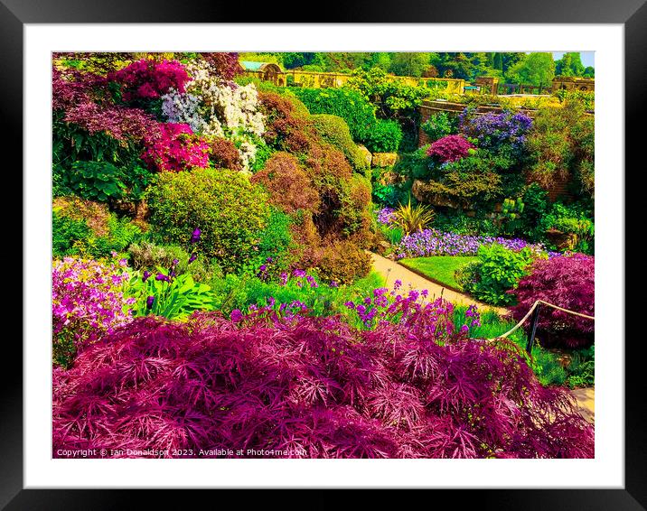 Hever Castle Gardens Framed Mounted Print by Ian Donaldson