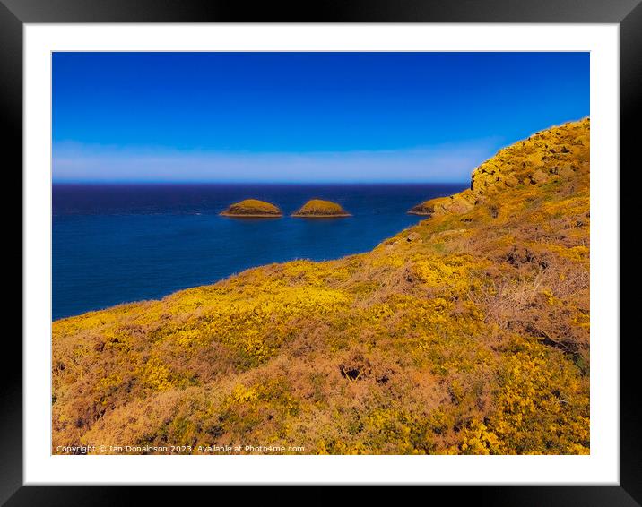 Yellow and Blue Framed Mounted Print by Ian Donaldson