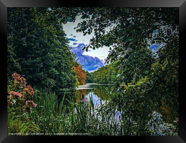 Lake in the Forest Framed Print by Ian Donaldson