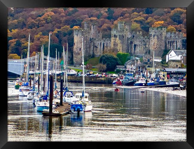 Conwy Castle Framed Print by Ian Donaldson