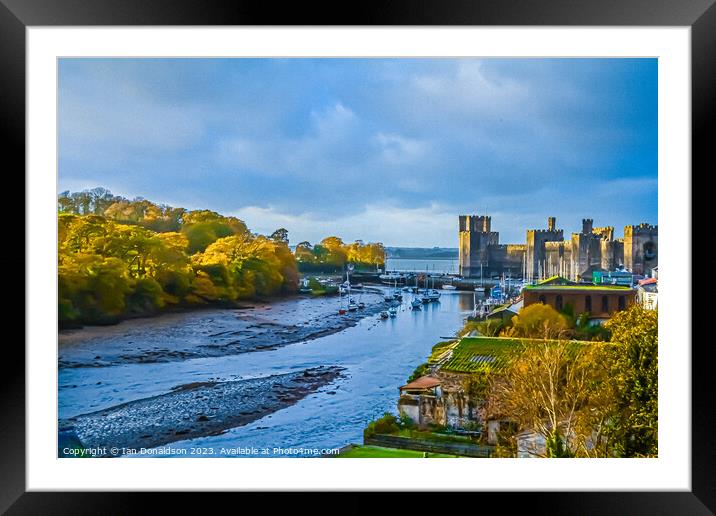 Castle View Framed Mounted Print by Ian Donaldson
