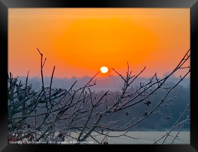 Ice at Dawn Framed Print by Ian Donaldson