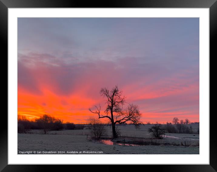 Winter Sunrise  Framed Mounted Print by Ian Donaldson