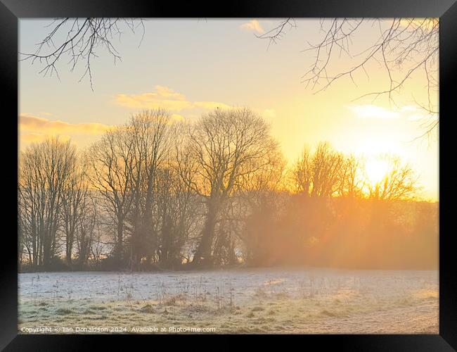 Winter Sun Framed Print by Ian Donaldson