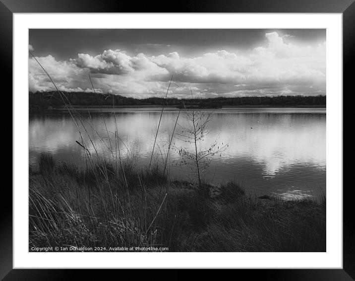 Waters Edge in the National Forest. Framed Mounted Print by Ian Donaldson