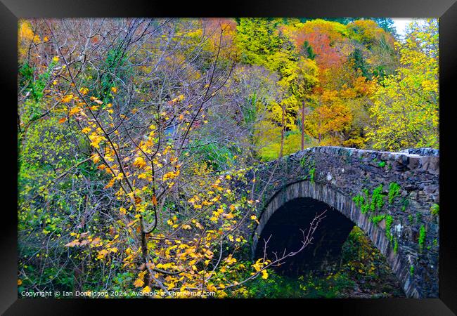 Autumn Bridge Framed Print by Ian Donaldson
