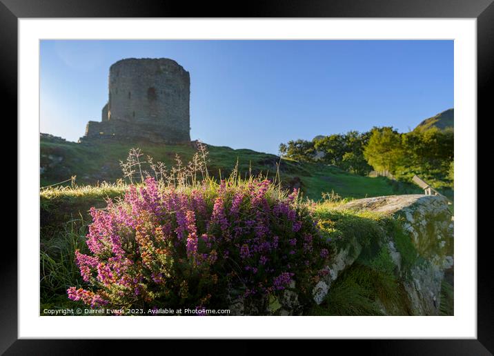 Dolbadarn Castle and Heather Framed Mounted Print by Darrell Evans