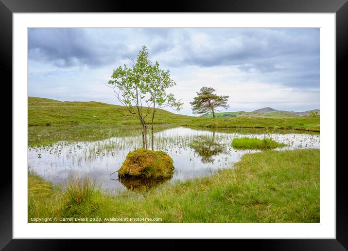 Trees and Kelly Hall Tarn Framed Mounted Print by Darrell Evans