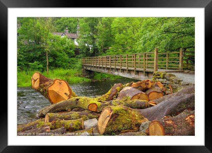 Indoor marketstore Framed Mounted Print by Darrell Evans