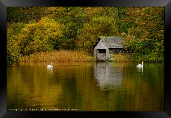 Swans and Boathouse Framed Print by Darrell Evans