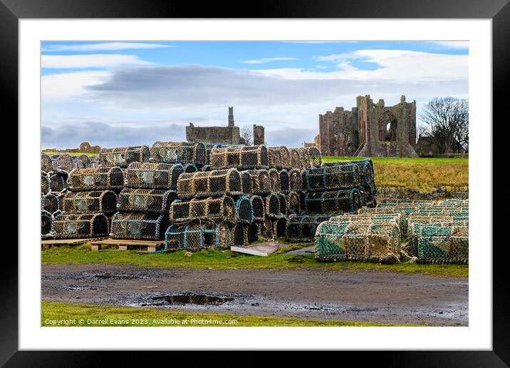 Crabbing pots on Lindisfarne Framed Mounted Print by Darrell Evans
